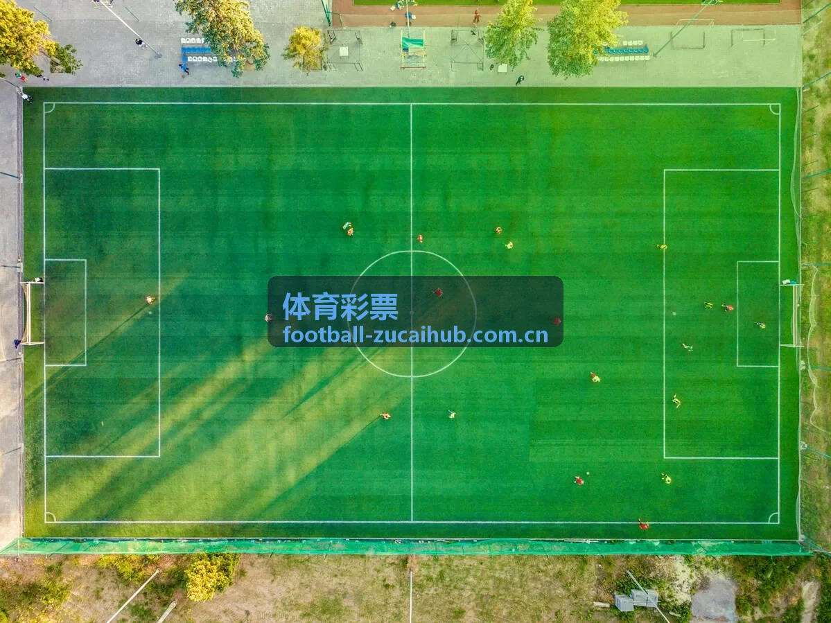 体育彩票比分玩法选项说明